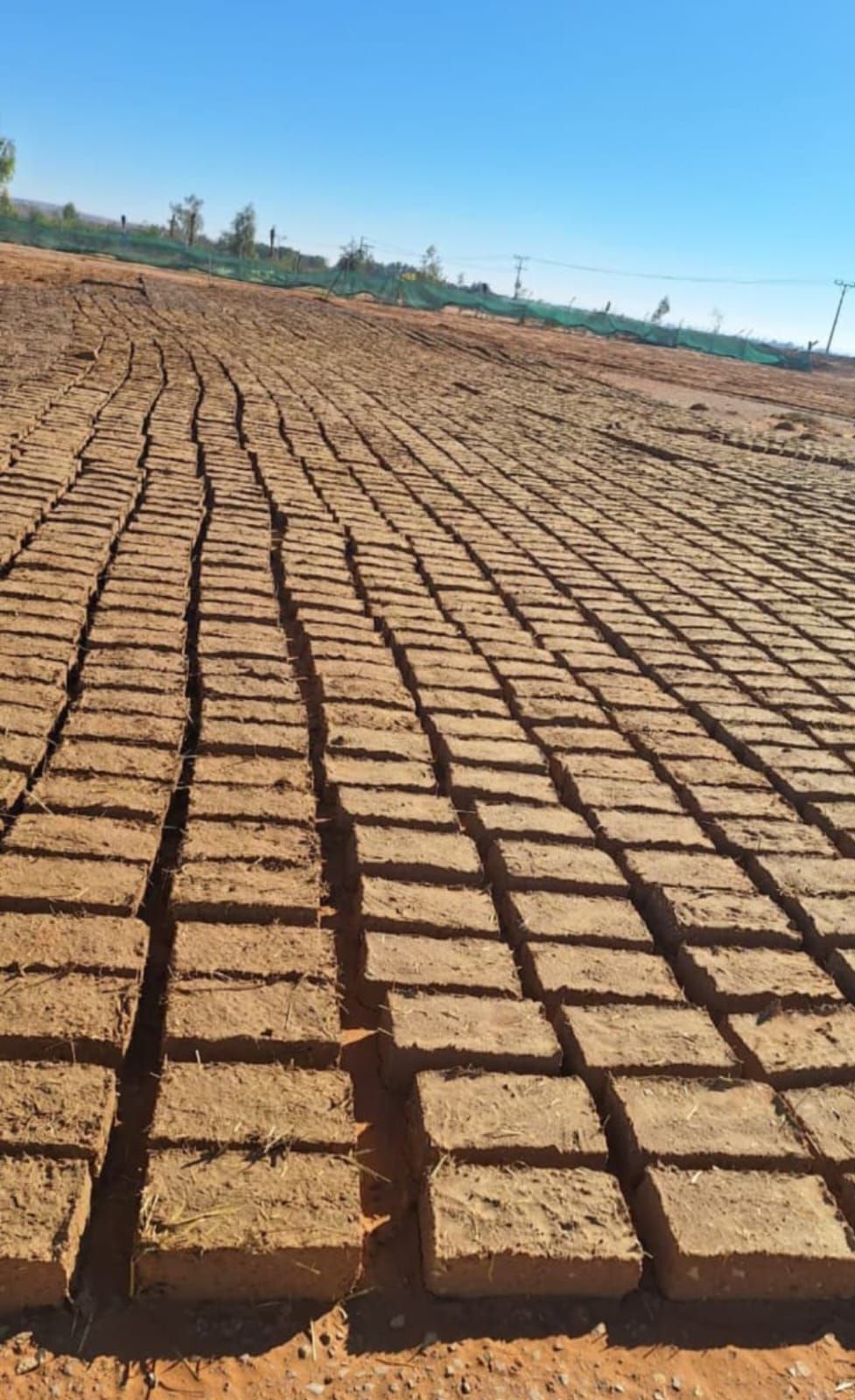 مقالات تراث بنا با الطين وتليوسات وسقف جريد وثل