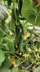 9ae230c0-1d8d-4b5c-81e0-3282df0d2271