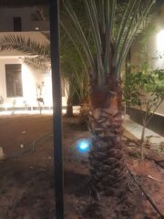 b1c684ce-607f-4304-8d09-f952bf368e35