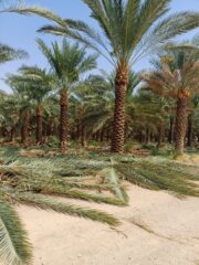 c0a05faa-f7b3-45b0-b061-4b8fdc78b230