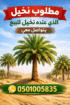 📢 عندك نخل للبيع؟ 🌴 نشتري جميع أنواع النخيل ✔️ است