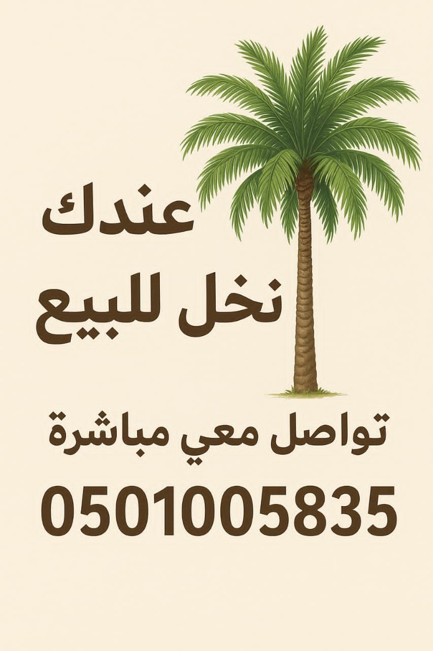 📢 عندك نخل للبيع؟ 🌴 نشتري جميع أنواع النخيل ✔️ است
