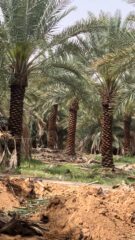 1c0cea45-8080-44d3-98e1-7e1b637c55ec