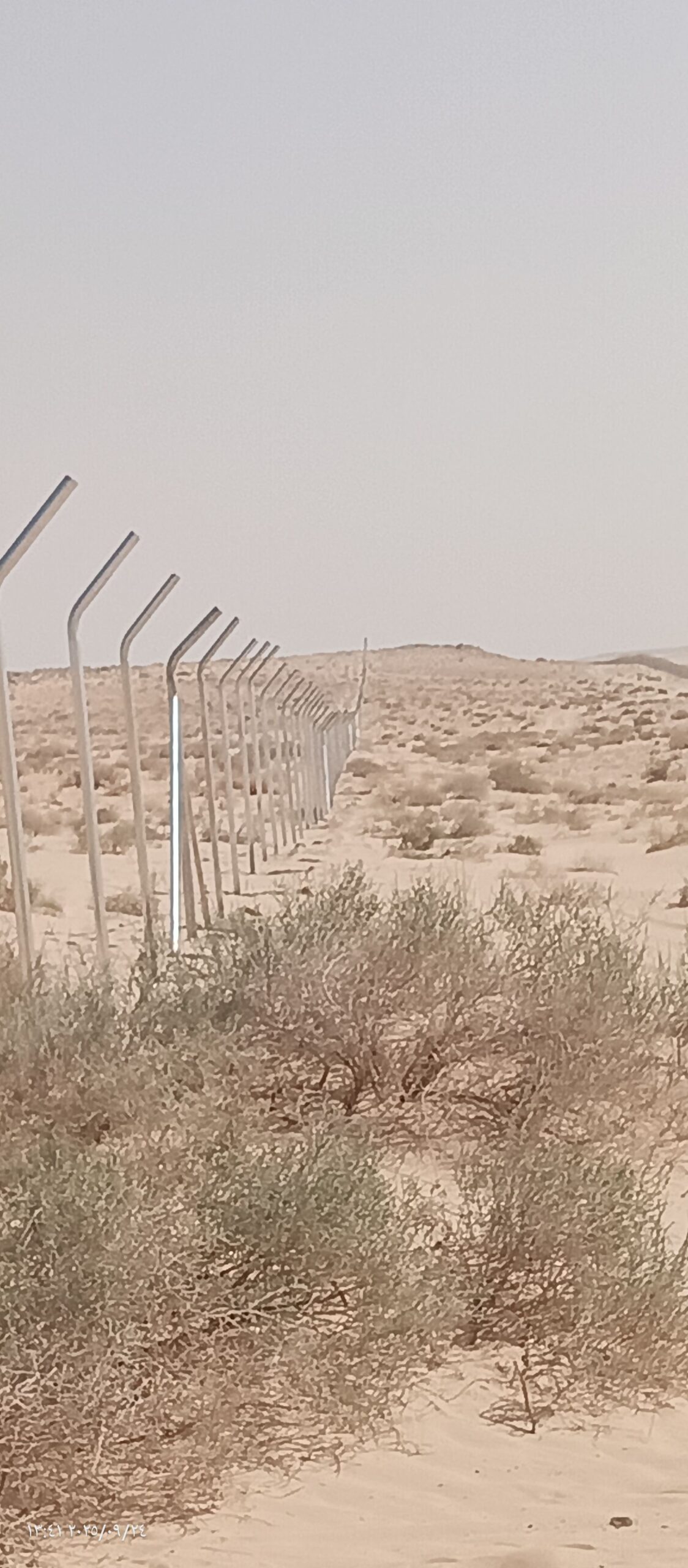 شبوك بجميع انواعها