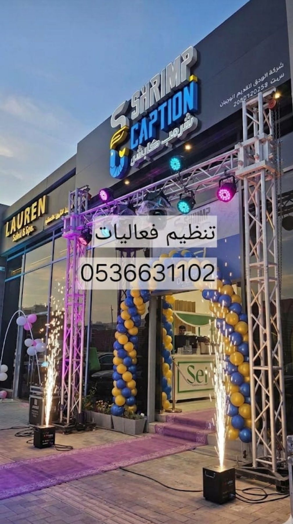 تاجير كشافات بالونات