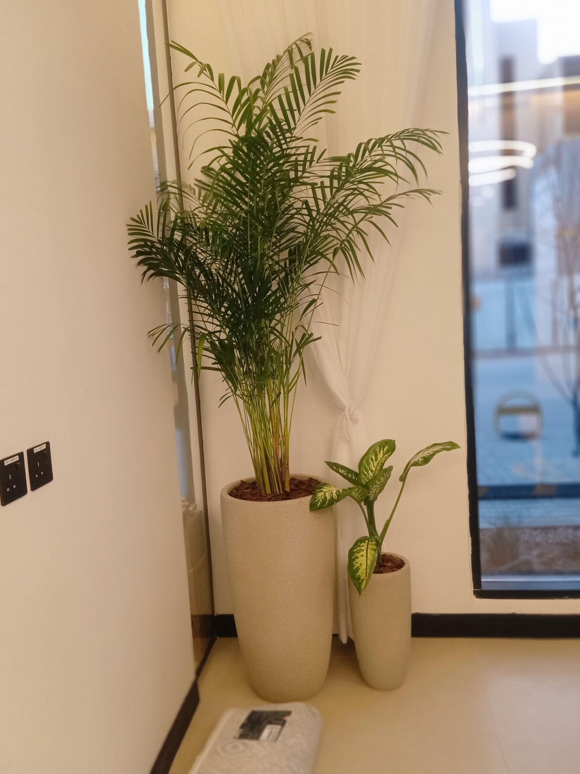 مشتل زراعي الرياض حي الملقا طريق الملك سلمان