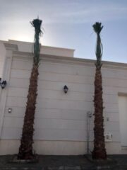 3fb0f765-9770-415b-9e2e-30a77f13cbad