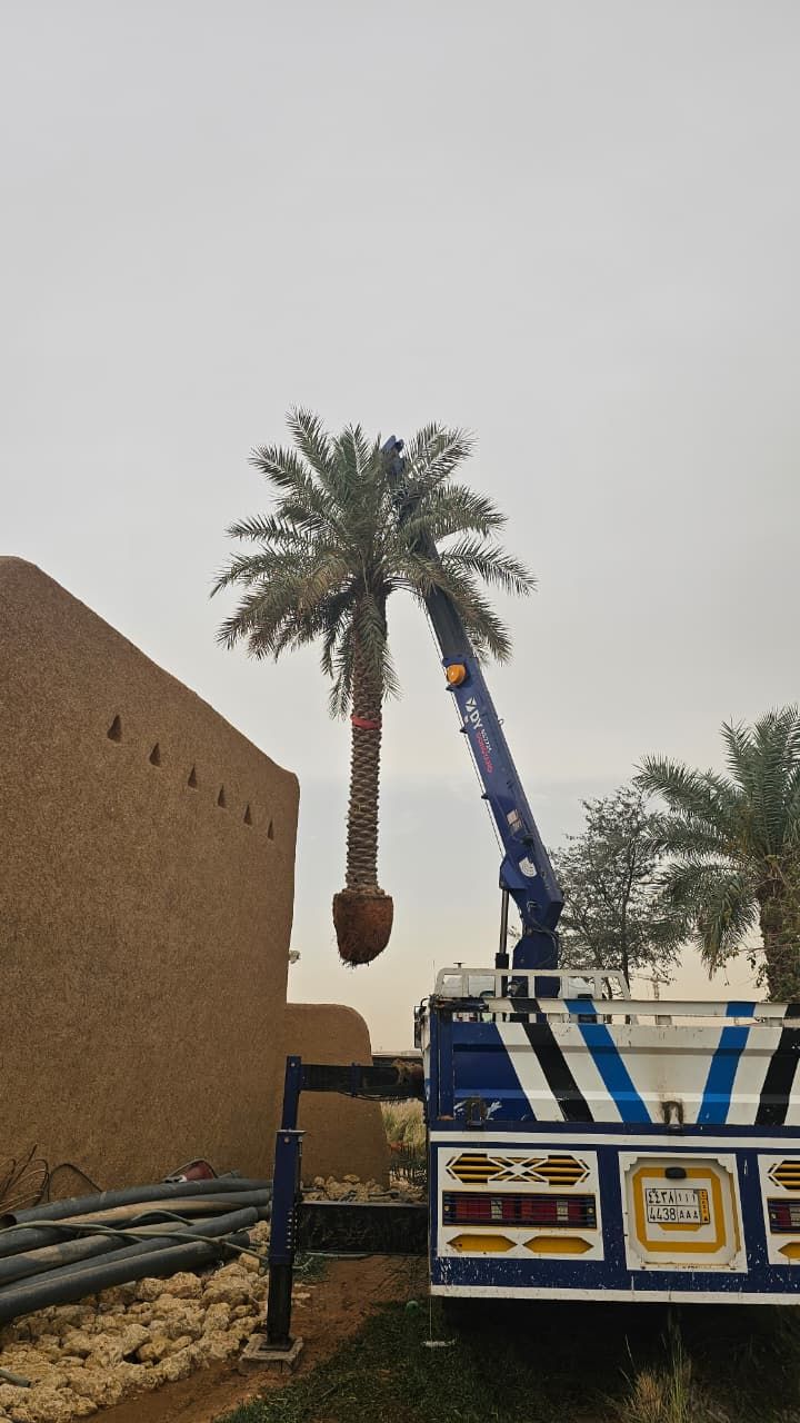 ارياض