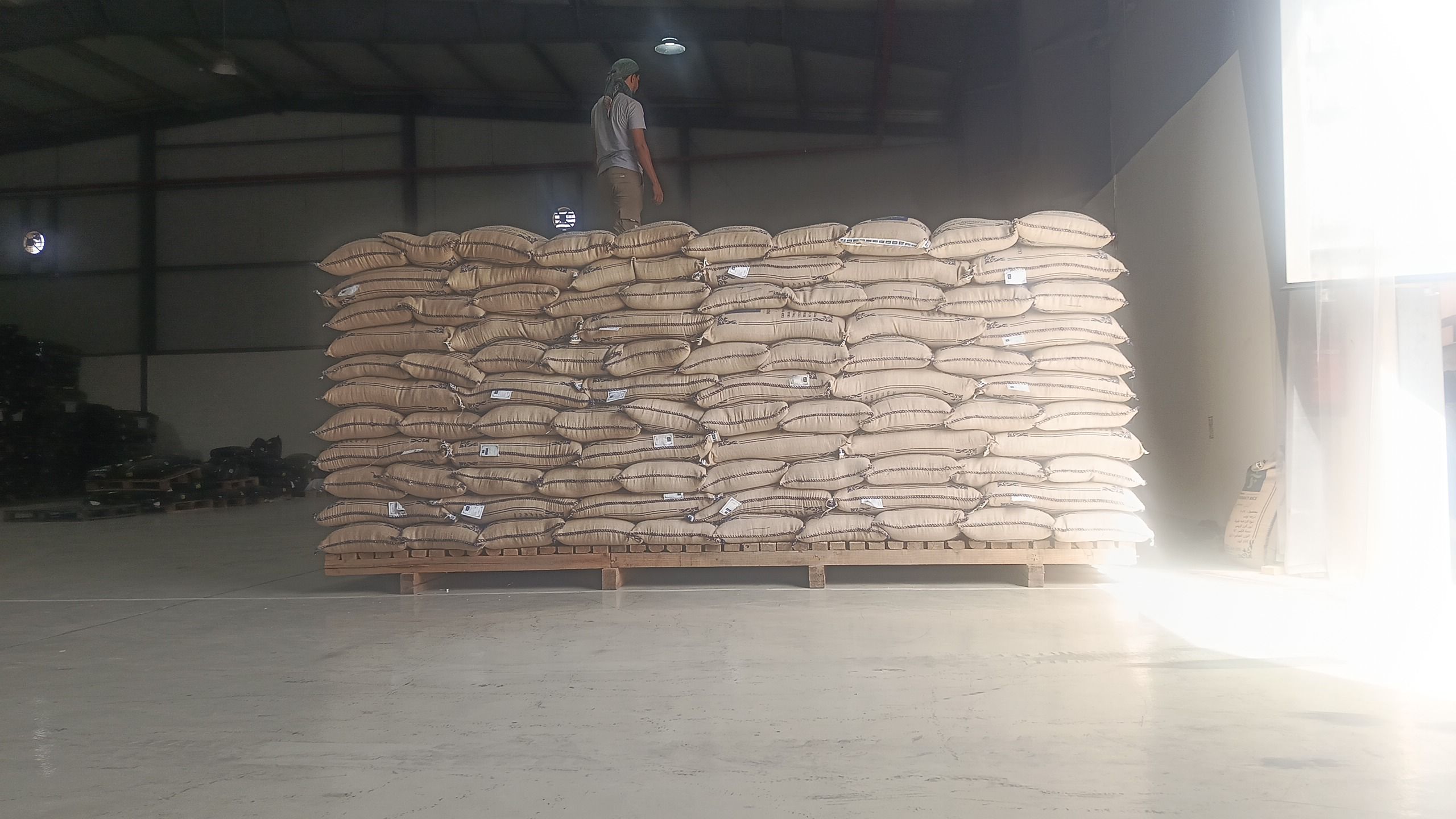 ارز بسمتي هندي للبيع جمله