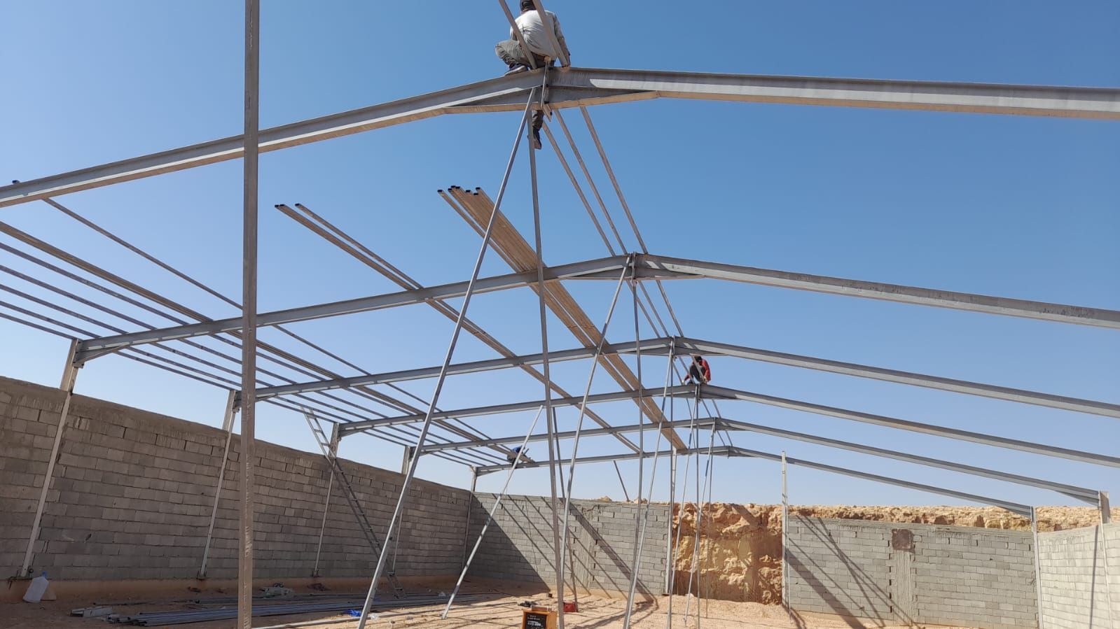 تسوير المزارع والملاعب وتوريد وزراعة النخيل العربي
