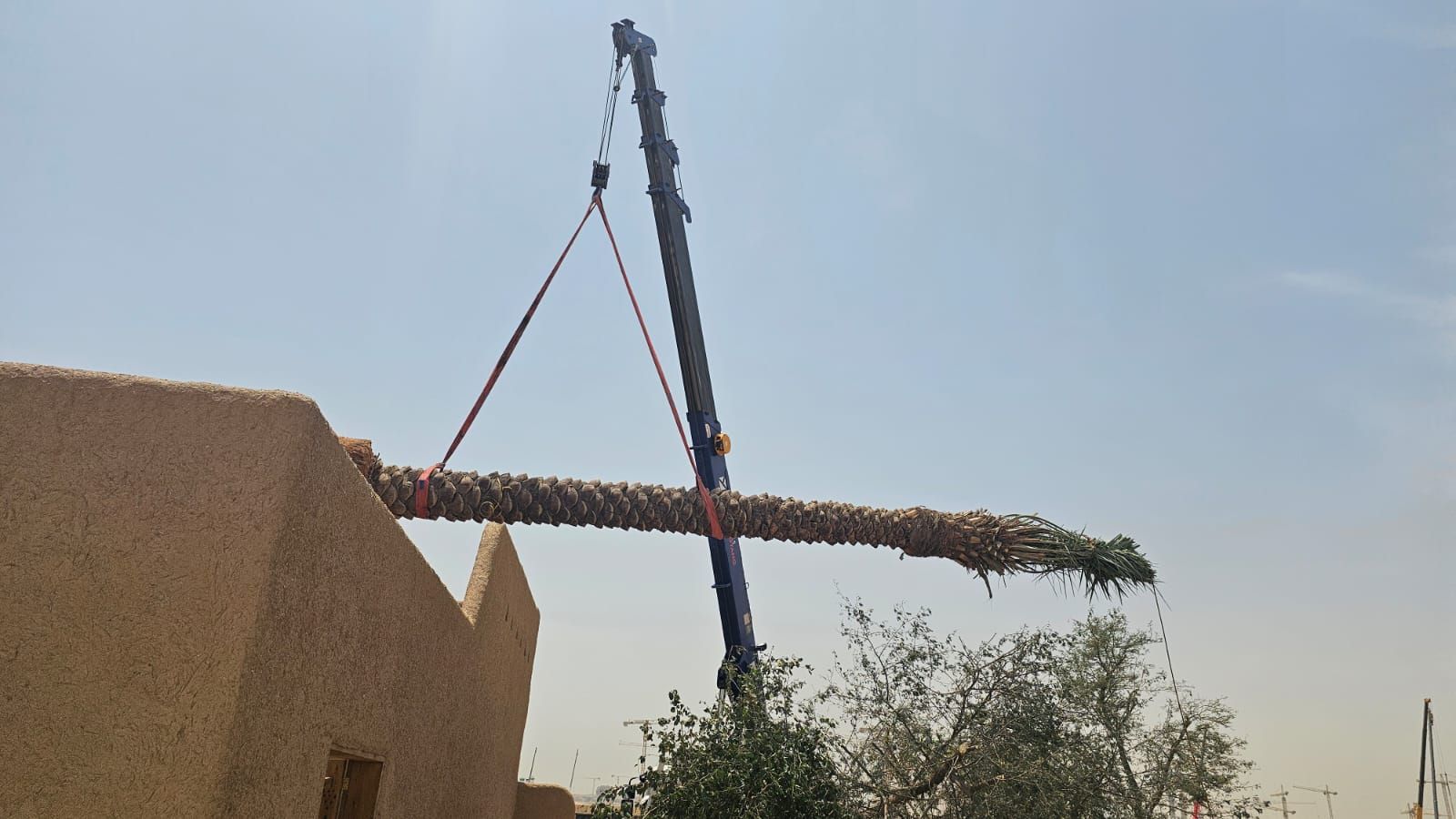 ارياض