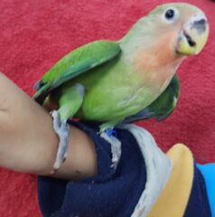 94f23c4c-acd9-45cd-88ed-b92b0b9ea873