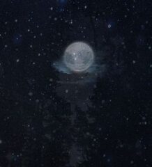 a3d8ad3a-1204-45ed-b6a6-ed8342a85123