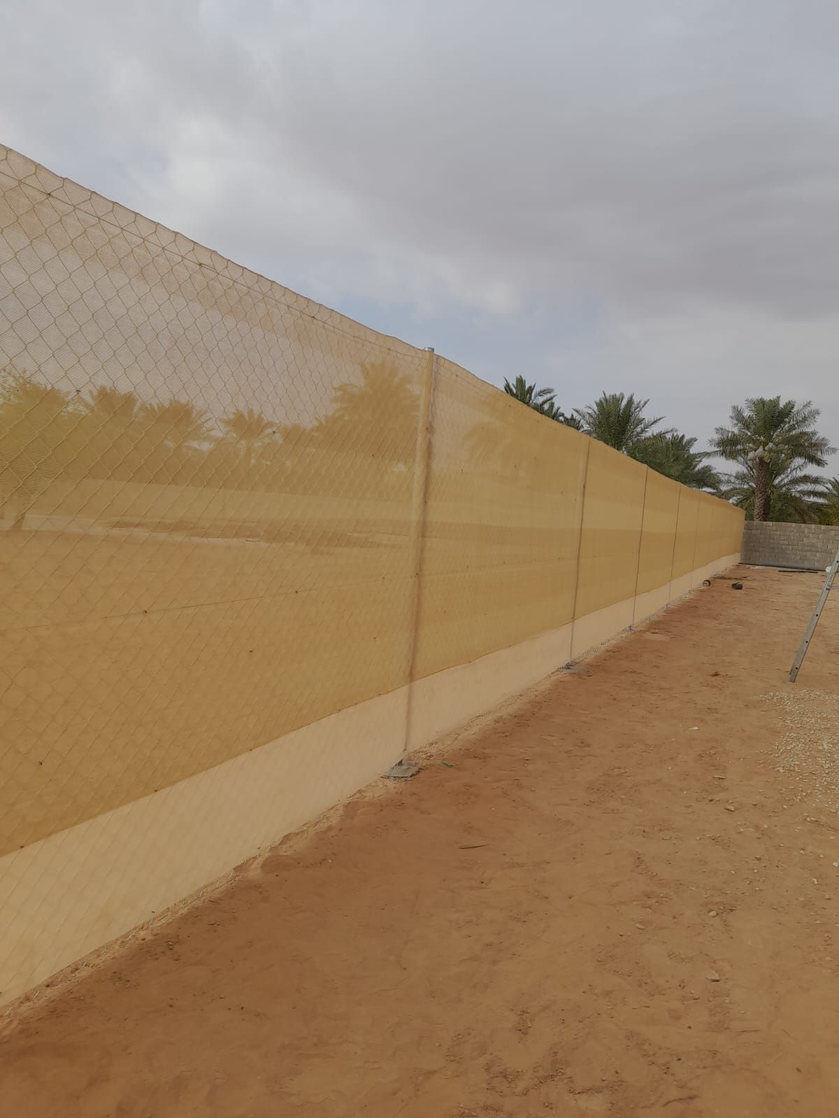 تسوير المزارع والملاعب وتوريد وزراعة النخيل العربي