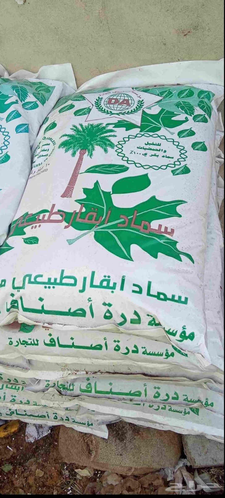 مشتل ومزرعه وجهه الخليج