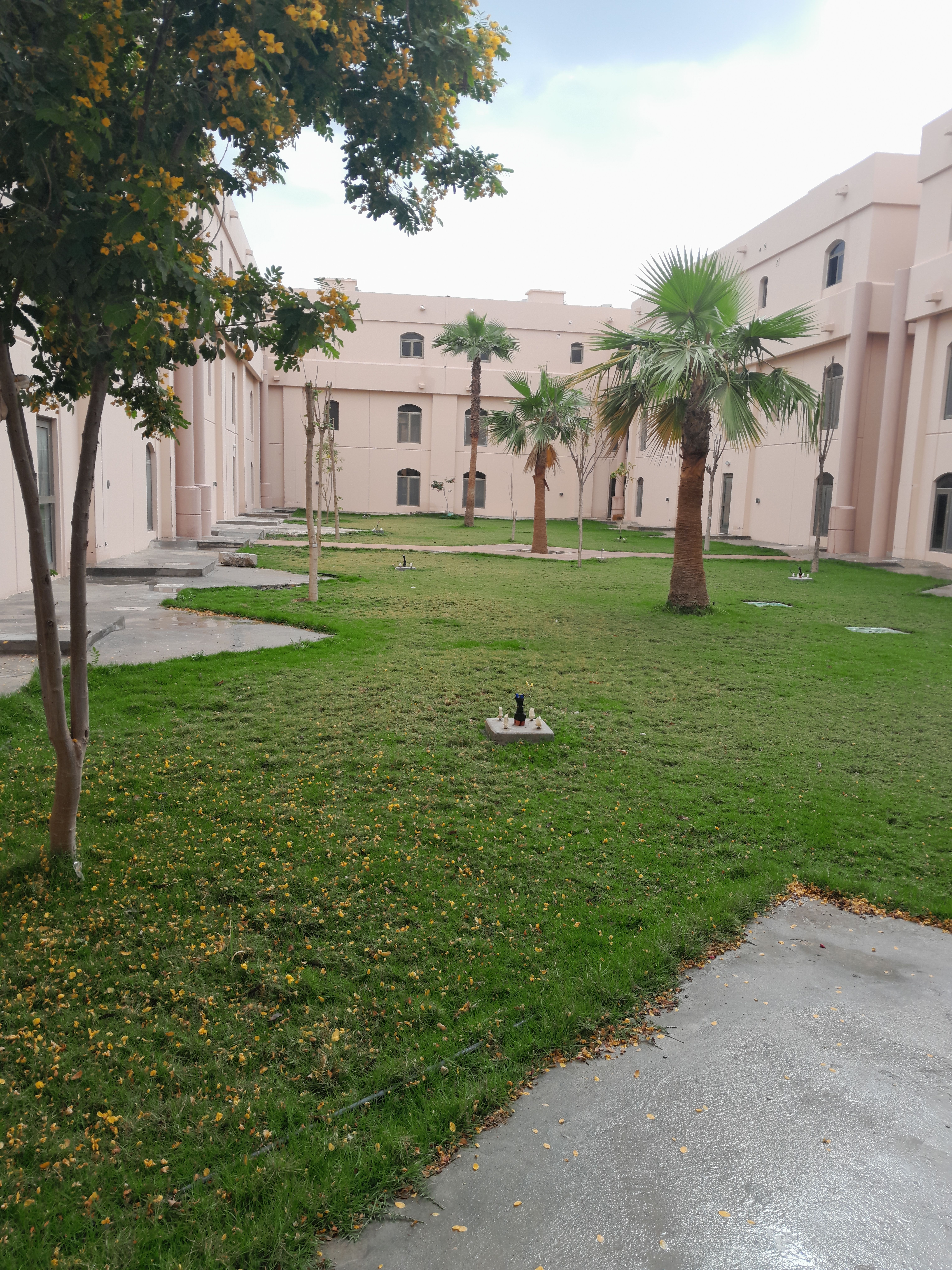 مشتل ومزرعه وجهه الخليج