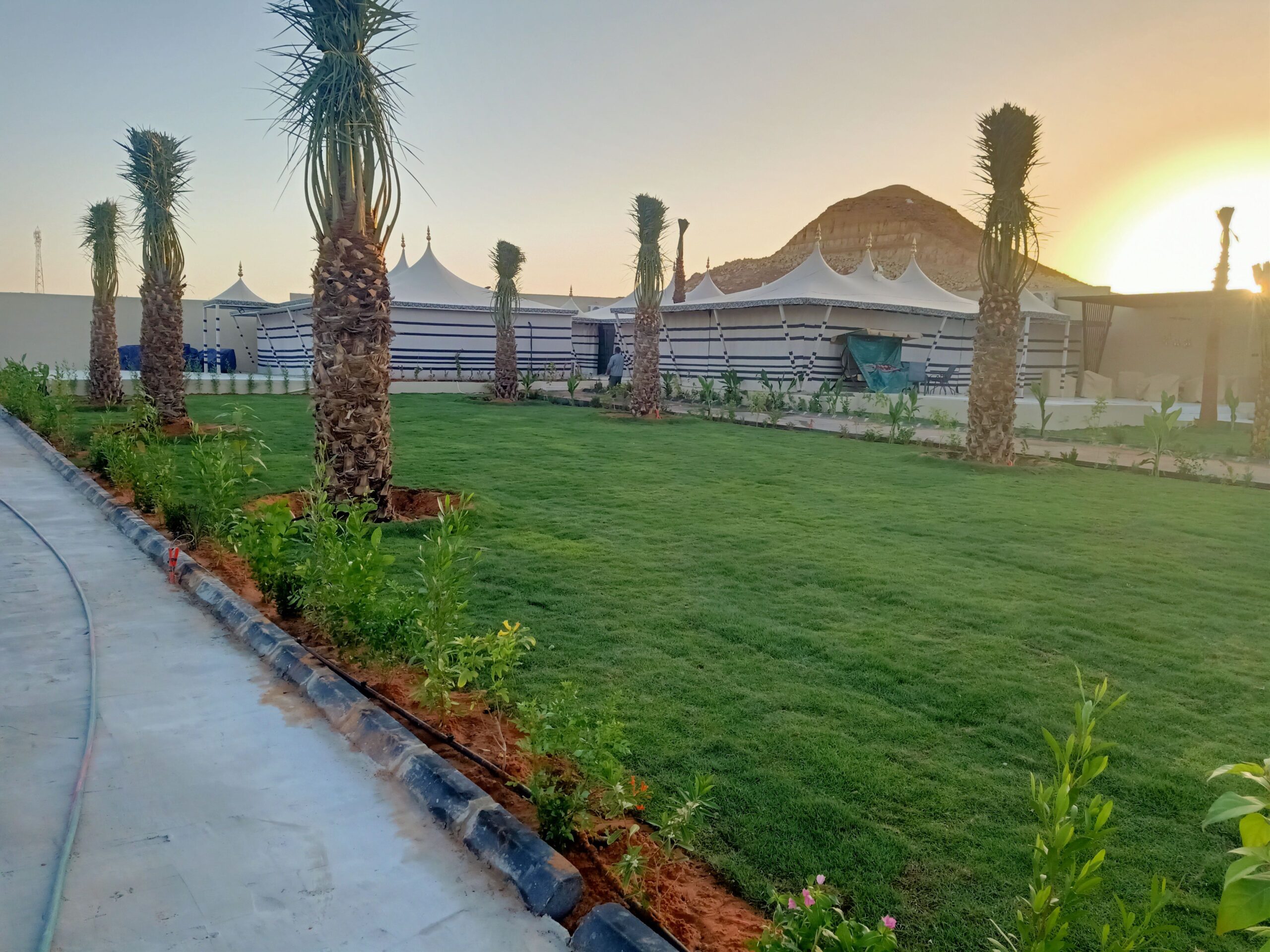 مشتل زراعي الرياض حي الملقا طريق الملك سلمان