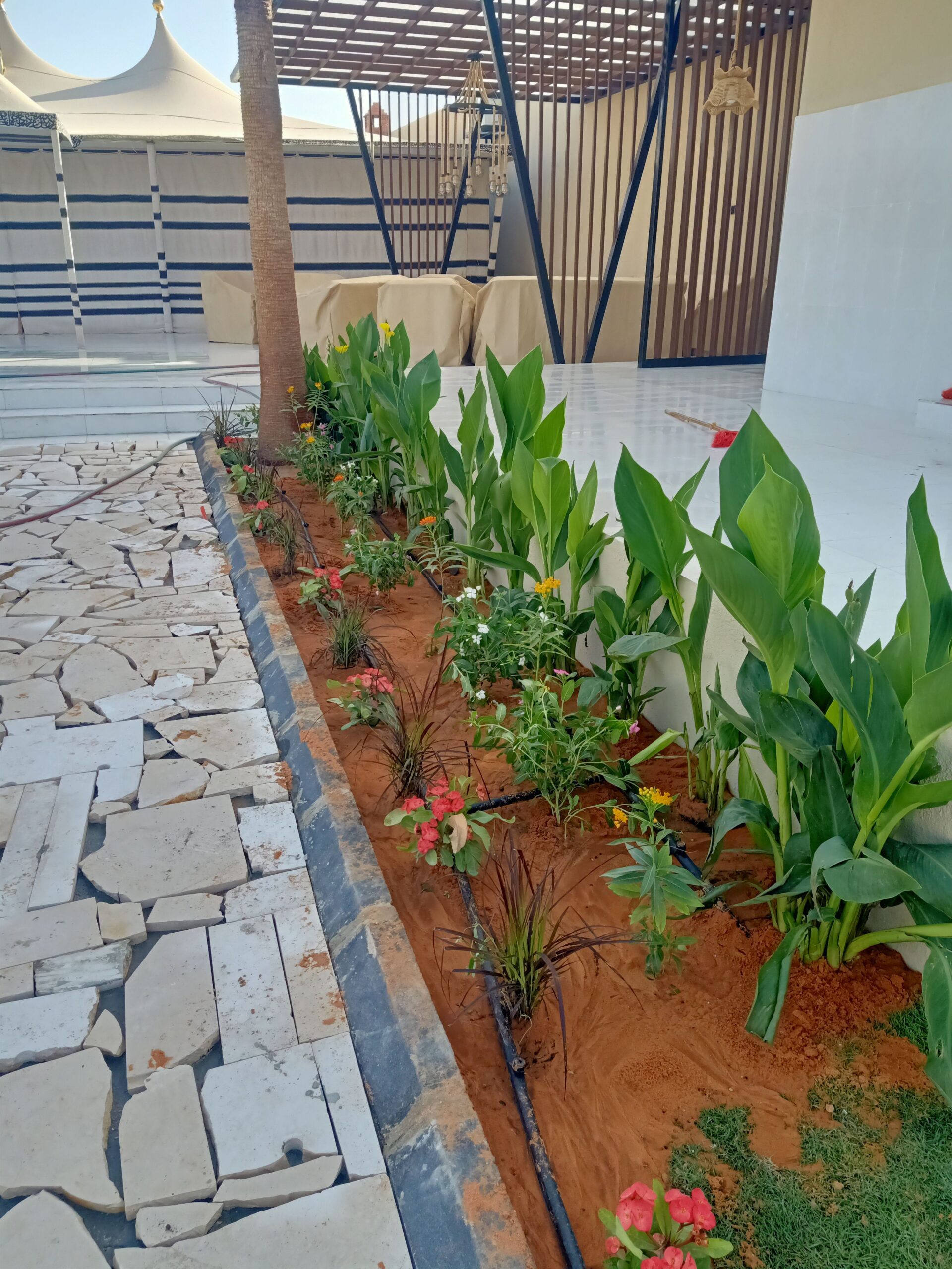 مشتل زراعي الرياض حي الملقا طريق الملك سلمان