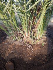 f3602db5-4660-466a-a5d2-cbfe41b7d738