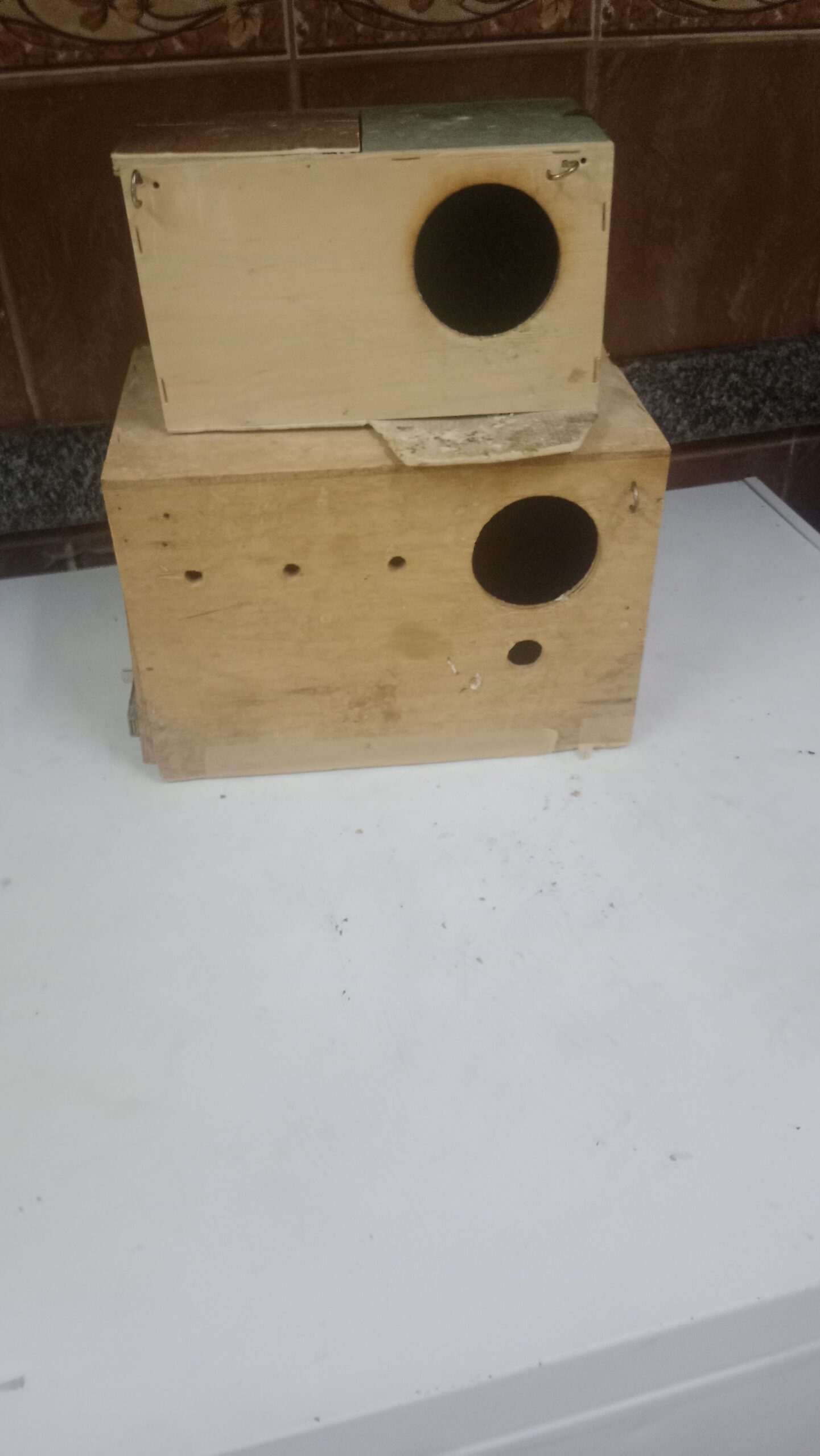 بياضه حجم كبير حجم صغير للبيع استخدامه الروز الكرو
