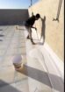 الشرقيه