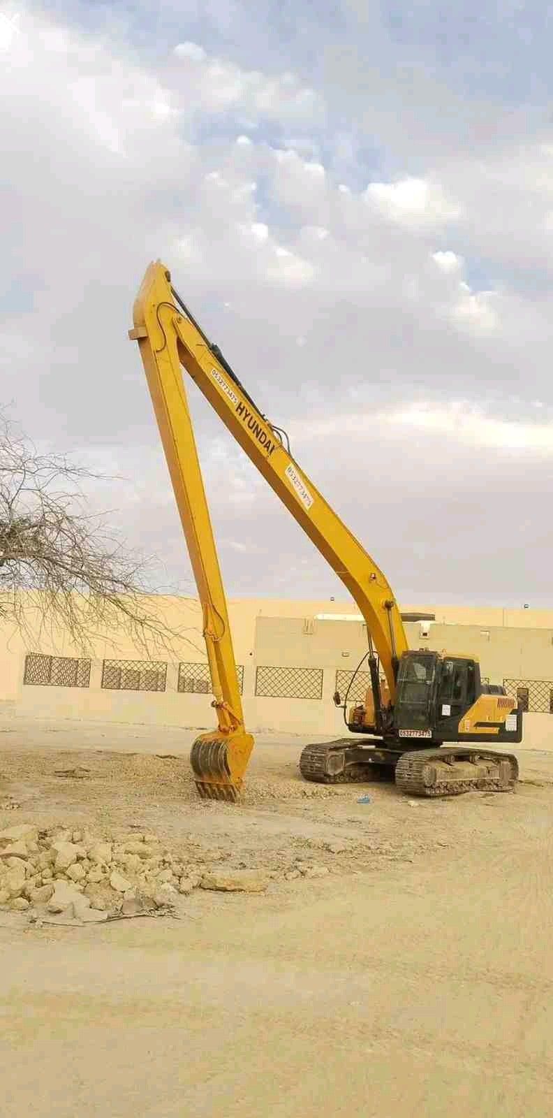 رياض