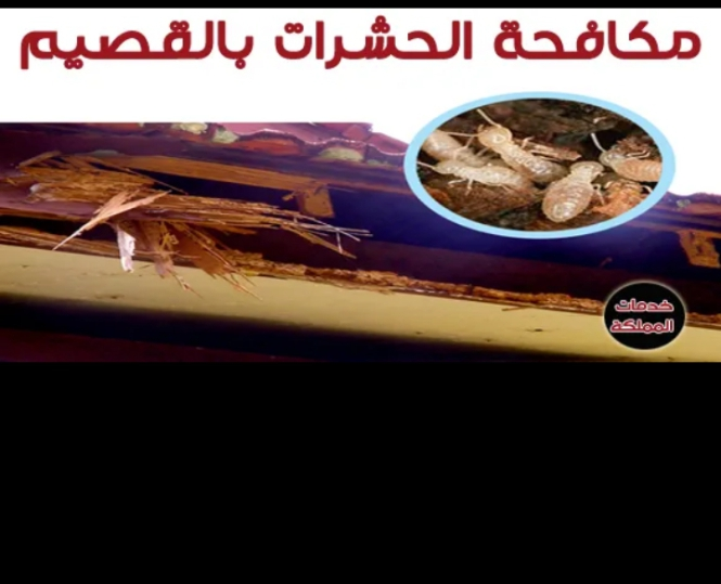 تنظيف وعزل خزنات ومسابح وتركيب طارد للحمام والطيور