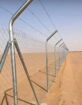 مقاول شبوك ونخيل
