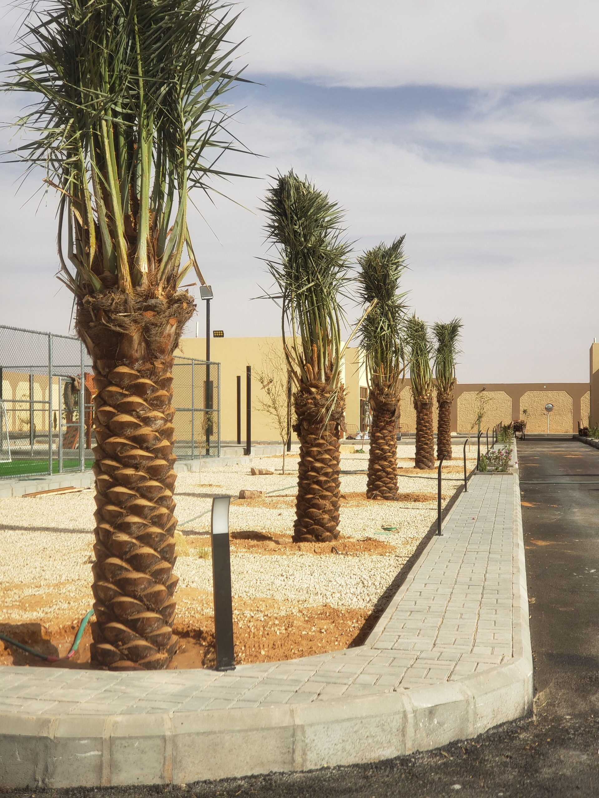 الرياض