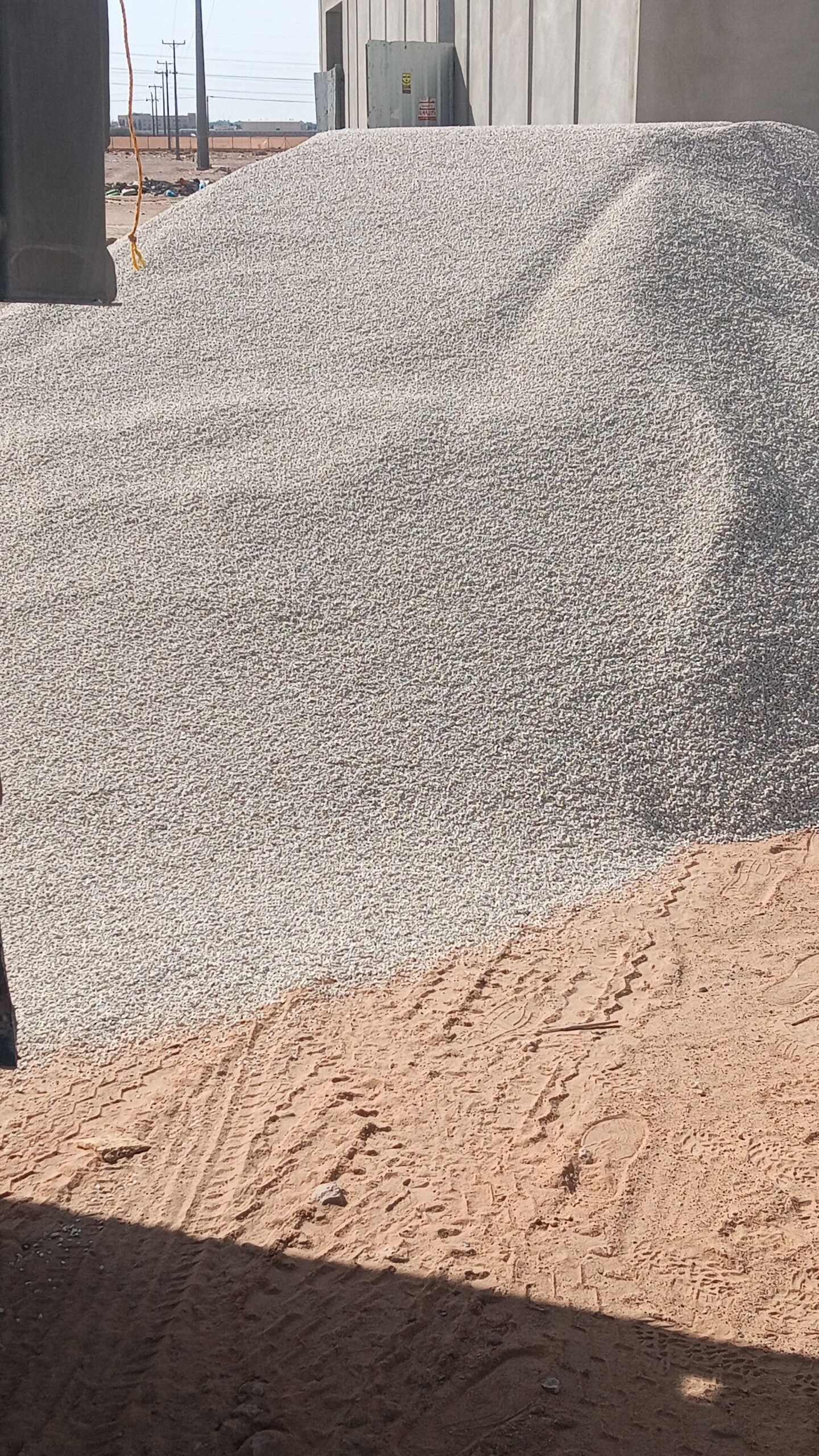 الرياض