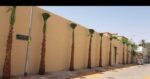 نقوم بتورد وتركيب جميع النواع الشبوك ونخيل