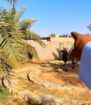 مقاول حجر