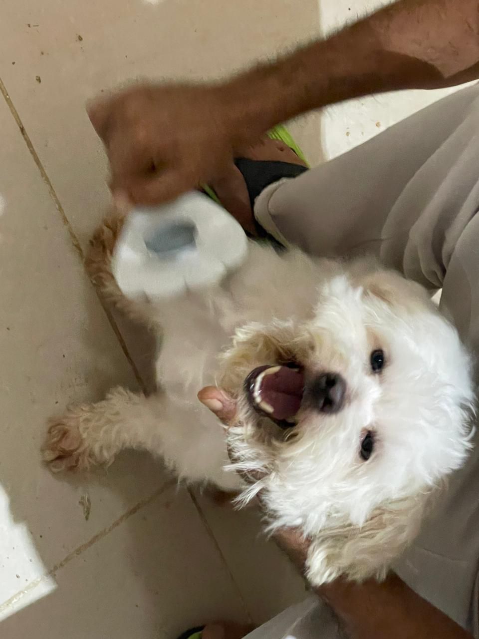 جده حي ذهبان