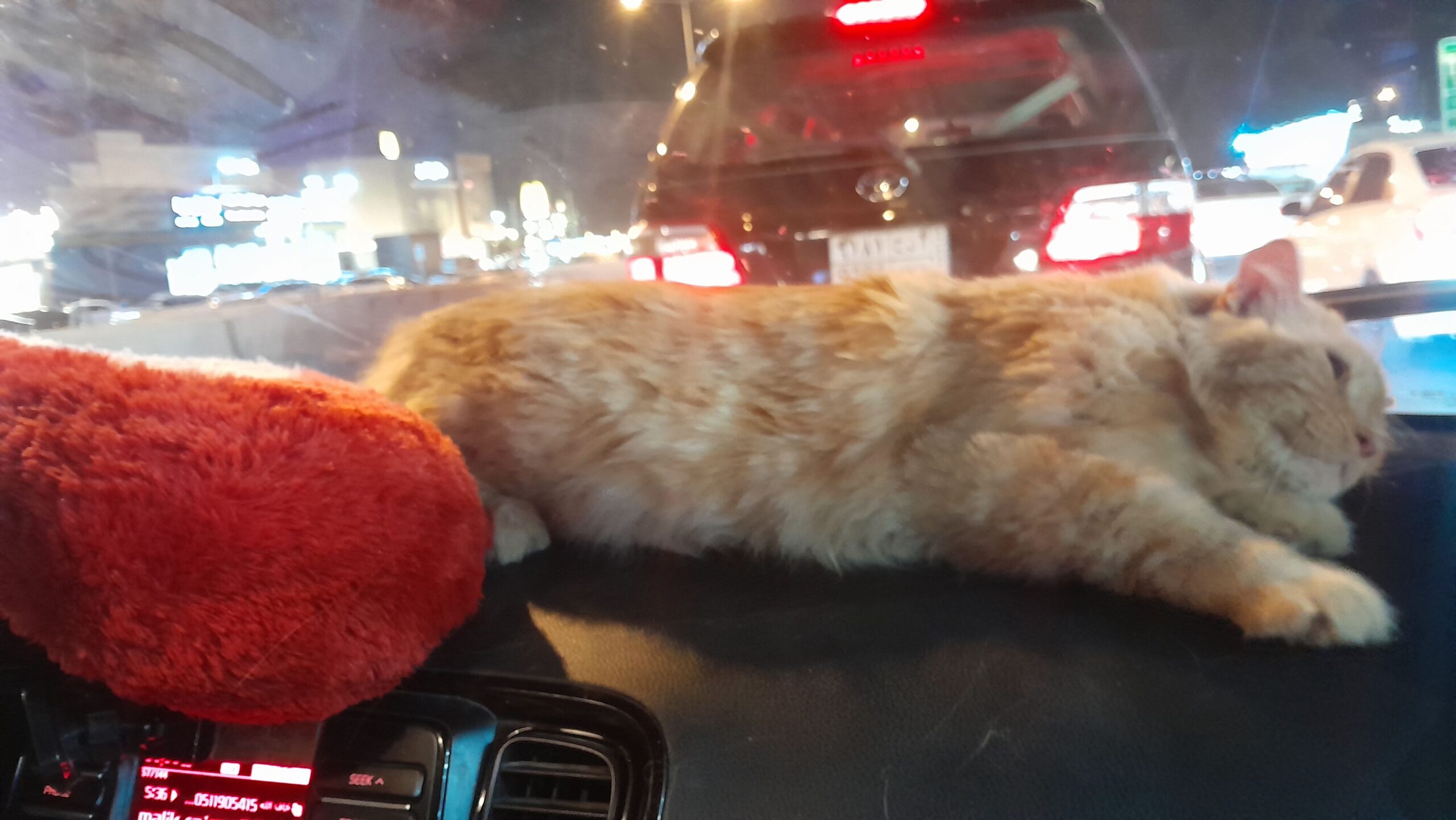حي الرمال