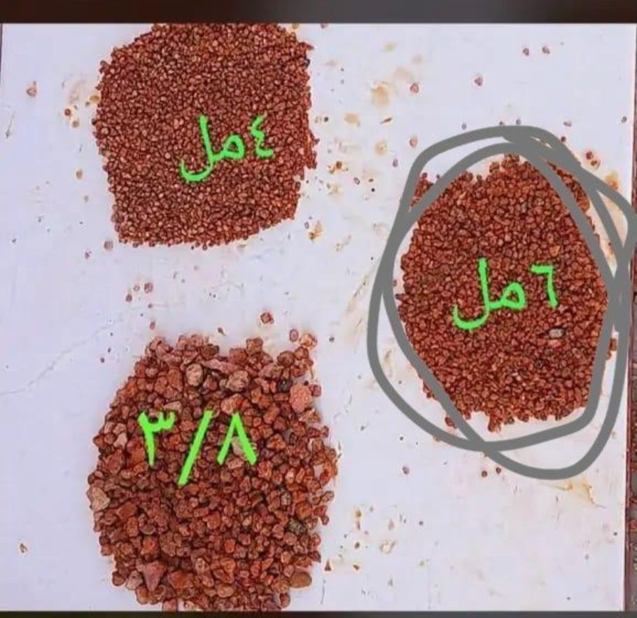 بطخاء خائل اخمر جلساء