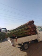 bed68101-aad0-4b73-bdaa-c07968d38d6d