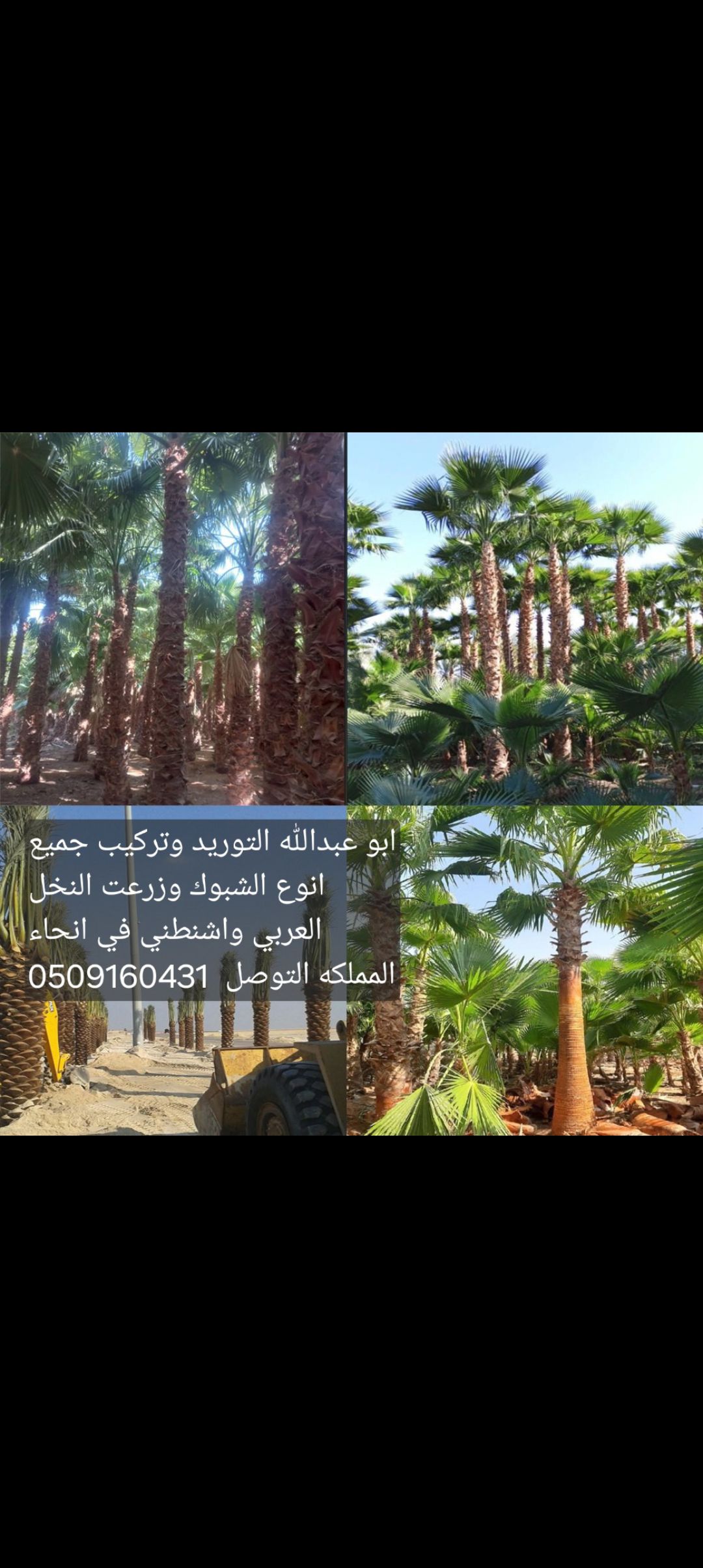 الدرعيه